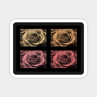 Monochrome Water-Painted Roses Magnet