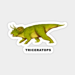 Triceratops Magnet