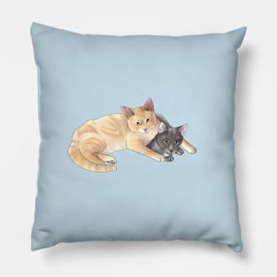 Honey and Akasha Pillow