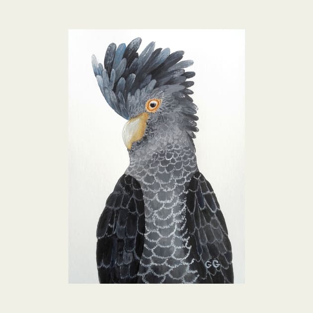 Black Cockatoo - bird art - painting by GarryGreenwood