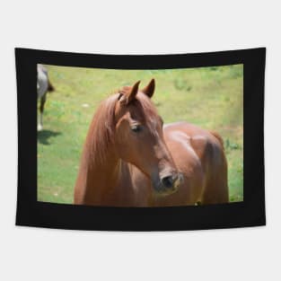 sorrel horse Tapestry