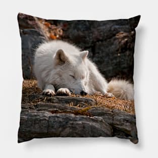 Arctic Wolf Pillow