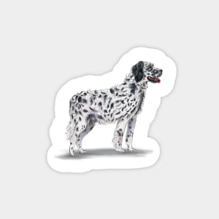 English Setter Magnet