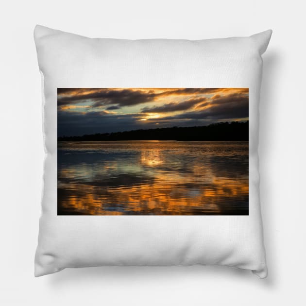 King River Pillow by charlesk