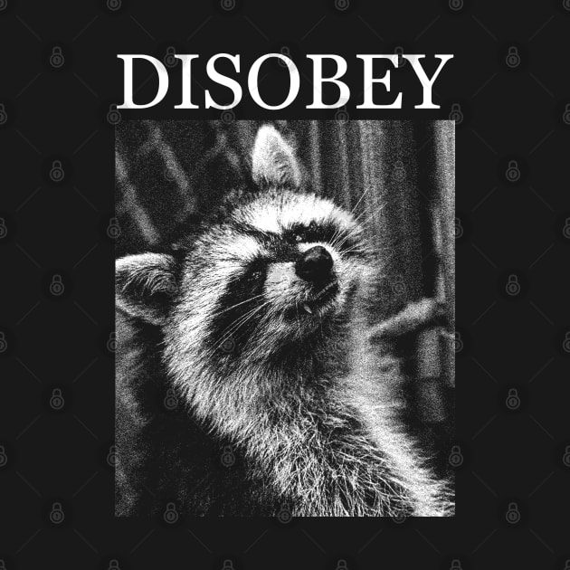 Raccoon Disobey by giovanniiiii