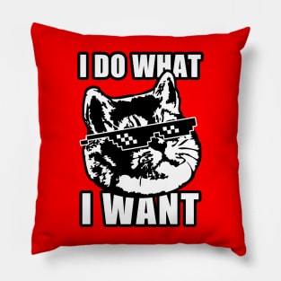 I Do What I Want Funny Cat Meme Deal with It Pillow