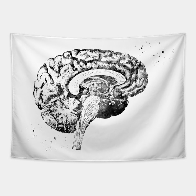 Brain anatomy Tapestry by erzebeth