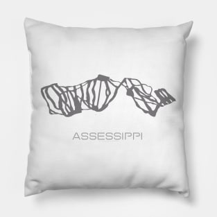 Assessippi Resort 3D Pillow