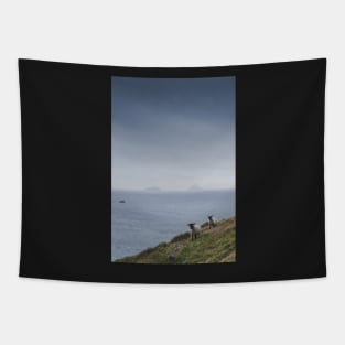 Sheep and Skelligs Tapestry