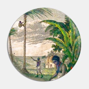 Natives picking coconuts Pin