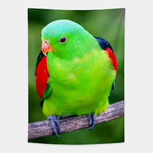 Red-Winged Parrot Tapestry