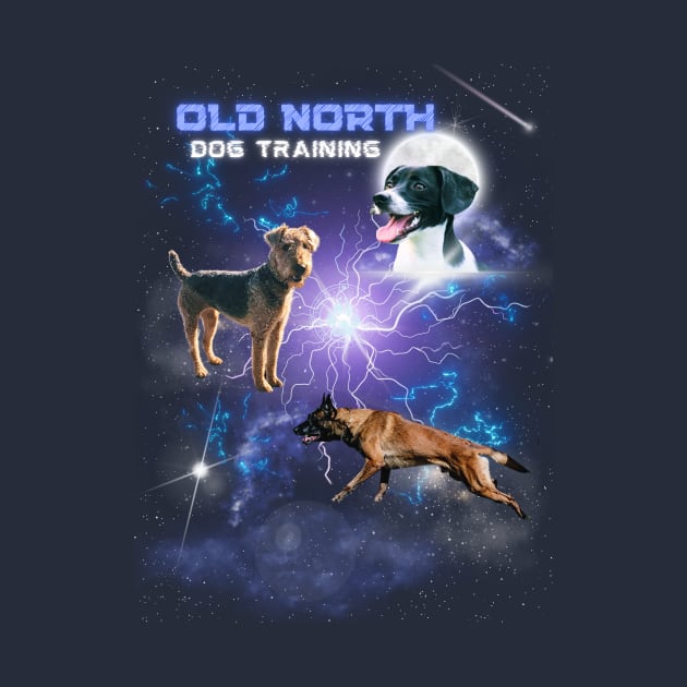 Old North Dogs Main by Old North Dog Training