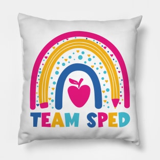 Special Education Teacher Paraprofessional Back To School Pillow