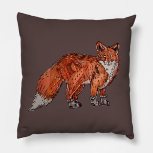 Fox in Socks 2.0 Pillow