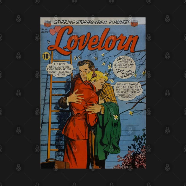 Vintage Confessions of the Lovelorn Cover by Slightly Unhinged