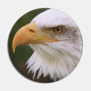 Bald Eagle (Soft) Pin