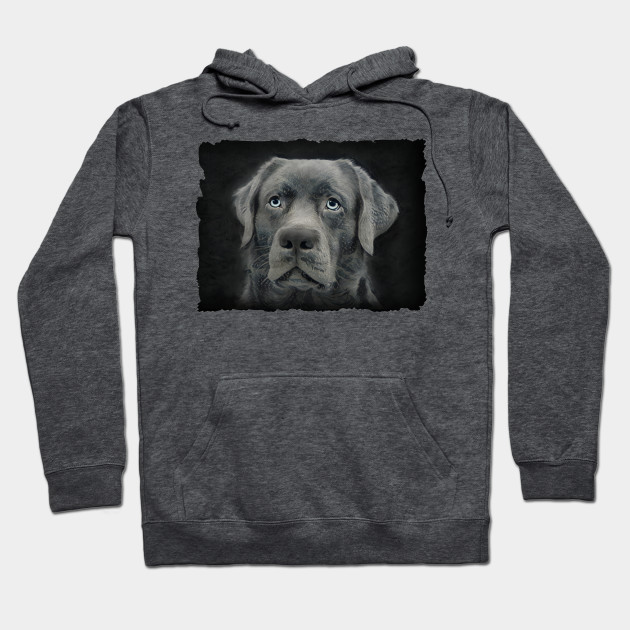 black lab hoodie