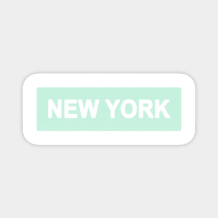 Mint New York Magnet