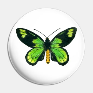 Queen Victoria's birdwing butterfly Pin