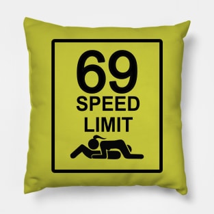 Speed limit 69 T shirt, coffee mug, Mugs, Apparel, hoodie, sweat shirt Pillow