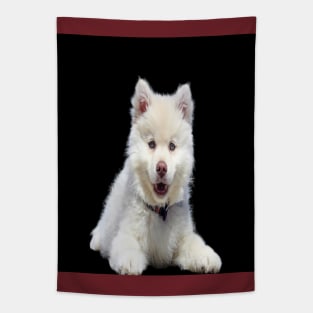 White dog Tapestry