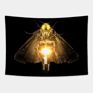 Moth loves light Tapestry