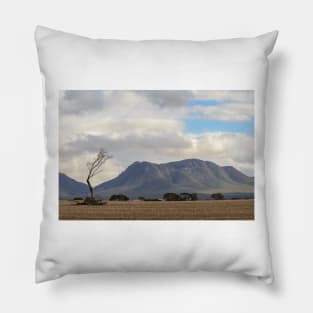 Bluff Knoll Pillow