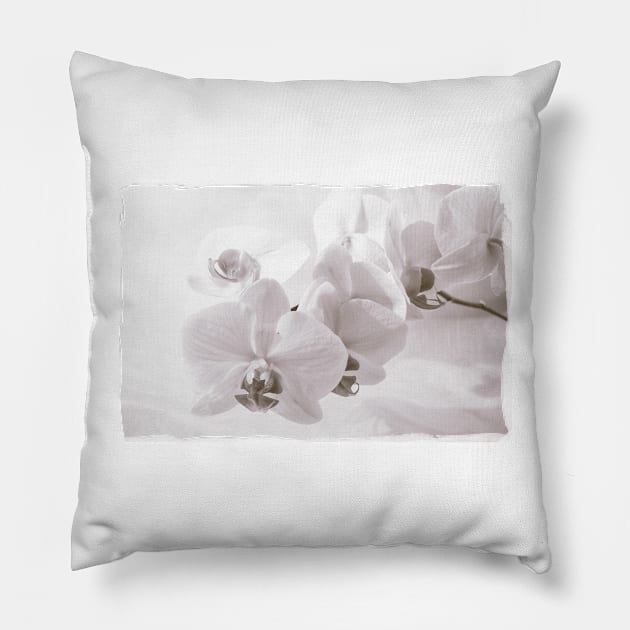 White Orchid Flower Pillow by cinema4design