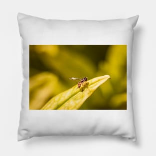 Calligrapher fly on leaf Pillow