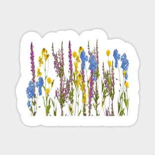 Lavender Wild Flowers Magnet