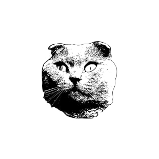 Scottish Fold Cat Art T-Shirt