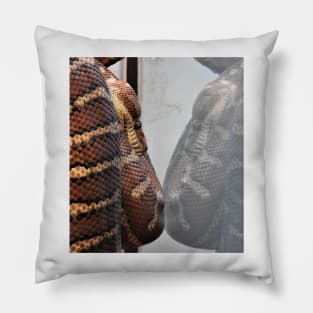 Reflection Pillow