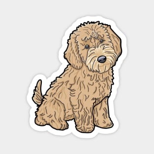 Golden Doodle Dog / Goldendoodle Magnet