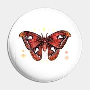 Atlas Moth Pin