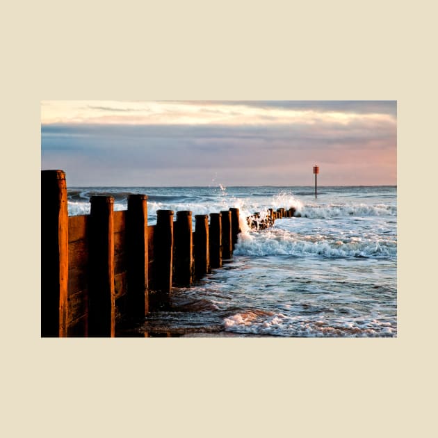 December sunshine on the groyne by Violaman