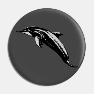 Dolphin Pin