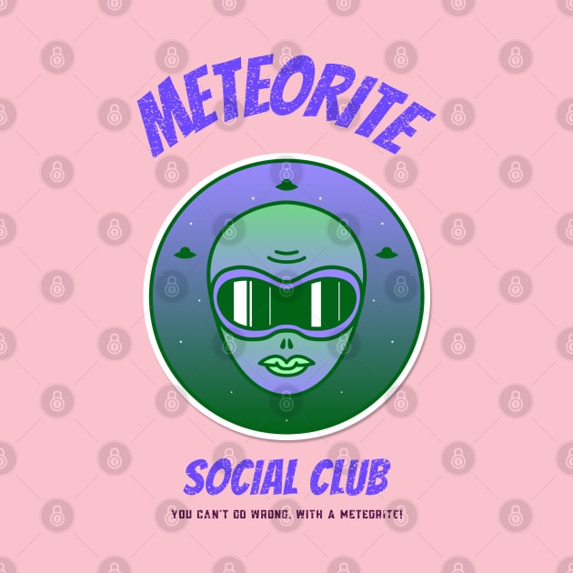 Meteorite Collector Meteorite "Social Club - You Can't Go Wrong, With A Meteorite!" Meteorite by Meteorite Factory