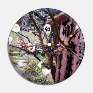 Photography - Japanese shrine Pin