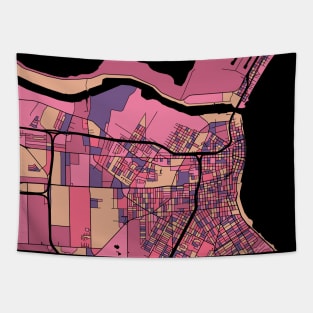 Corpus Christi Map Pattern in Purple & Pink Tapestry
