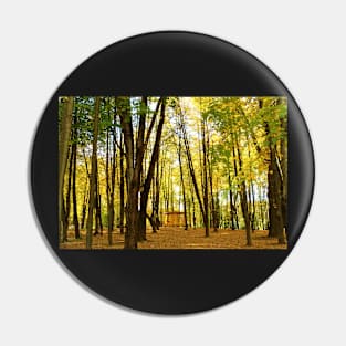 Autumn in Belarus Pin