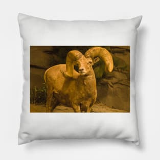 ola big horn Pillow