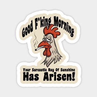 Your Sarcastic Ray of Sunshine Has Arisen Offensive Sarcastic Humor Magnet