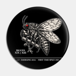 Cicada Pin