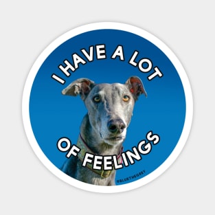 I Have a Lot of Feelings Magnet