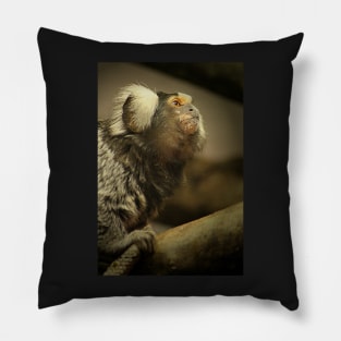 Common Marmoset Pillow