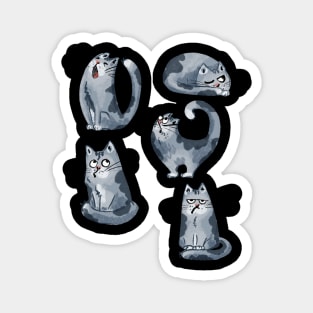 Funny cat Magnet