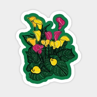 Calla Lilies Magnet