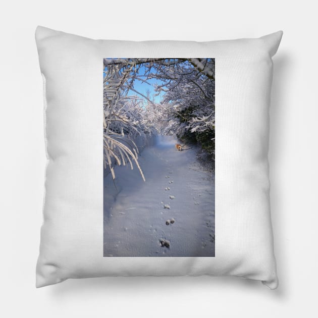 SOLITARY SNOW WINTER SCENE Pillow by MarniD9