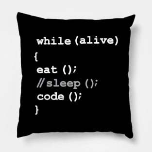 Eat, Don't Sleep, Code, Repeat. Funny Software Programming Pillow