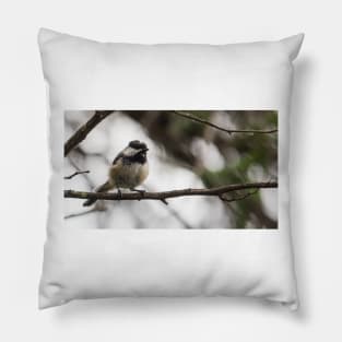 Chickadee Pillow